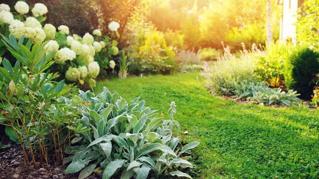 Garten-Schatten-4
